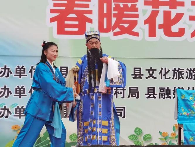 枞阳电视台在线直播