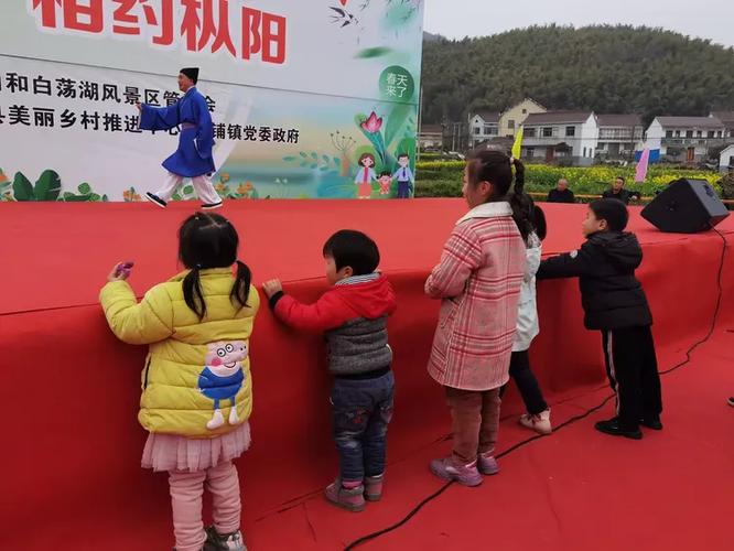 枞阳电视台在线直播