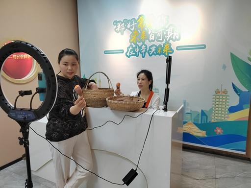 中牟电视台1套直播