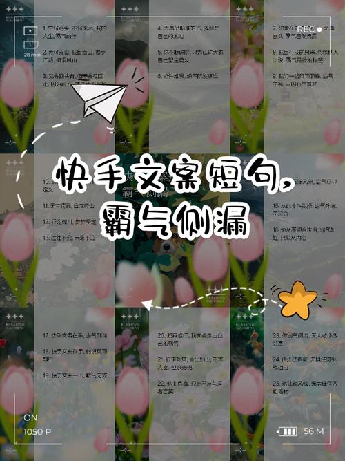 快手怎么样才能上热门