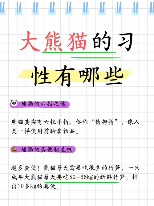 在看直播排行榜熊猫