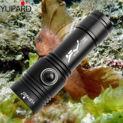 抖音海洋里的手电筒