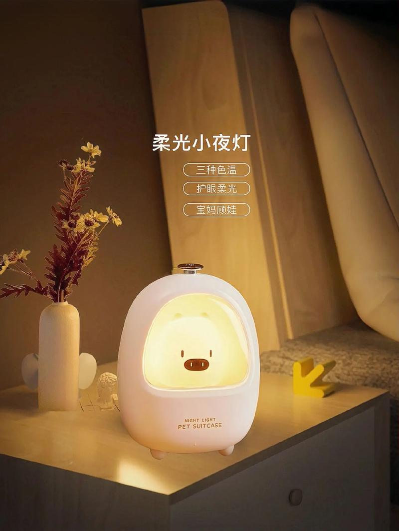 玩抖音用的灯是什么