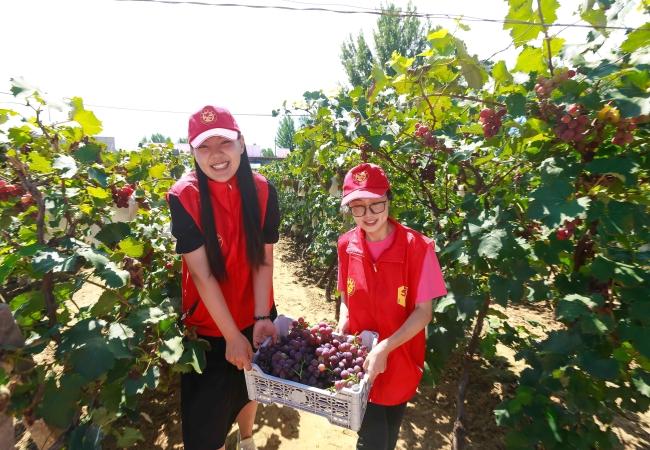 滦县电视台在线直播