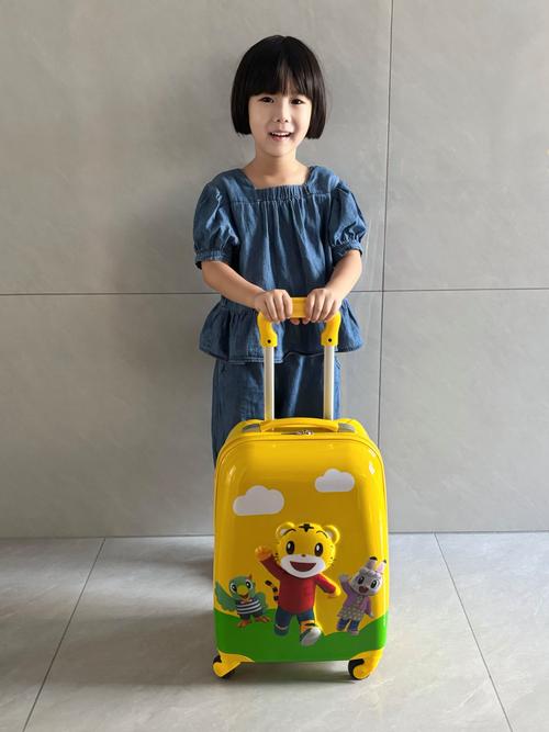 抖音网红小孩行李箱