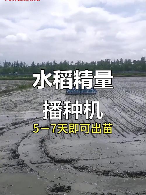 寒地水稻旱直播技术