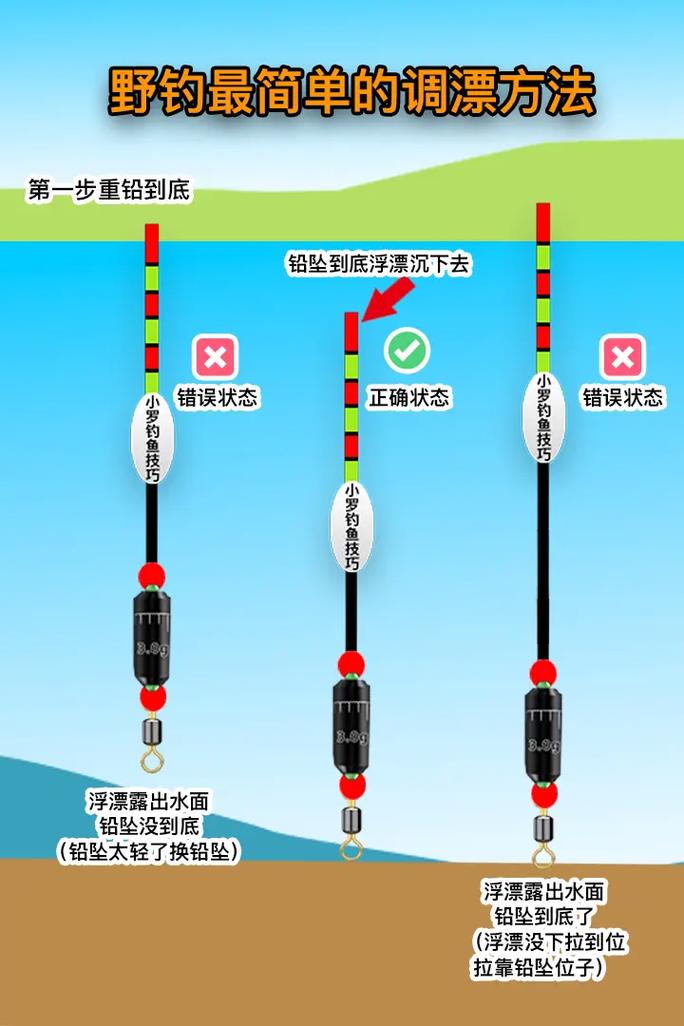 学钓鱼调漂视频直播