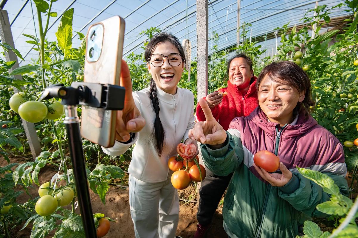 大家都在看什么直播