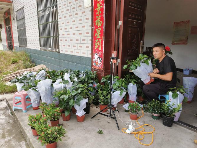 桐城电视台在线直播