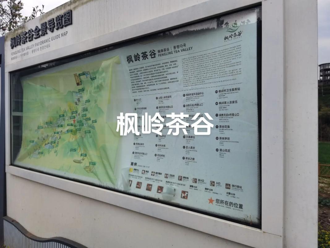 茶谷地抖音上的广告