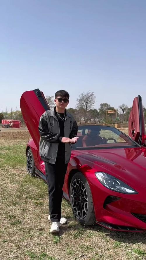 快手上自制跑车的人