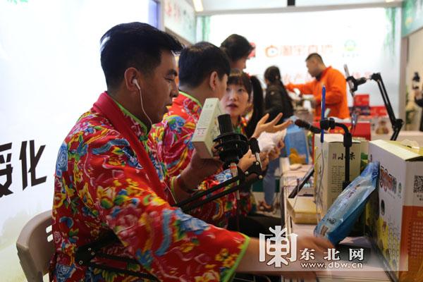 绥化电视台直播回放