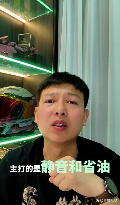 快手机智的大叔对象