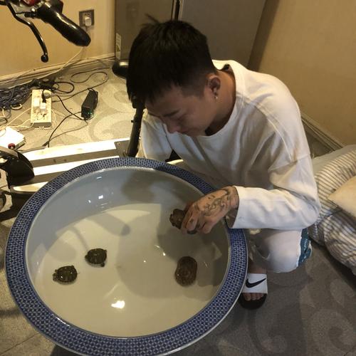 跟条子拍快手的燕子