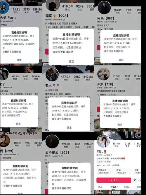 快手刷粉丝什么意思