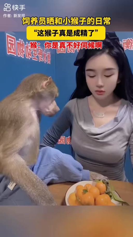 快手上养猴子的女人