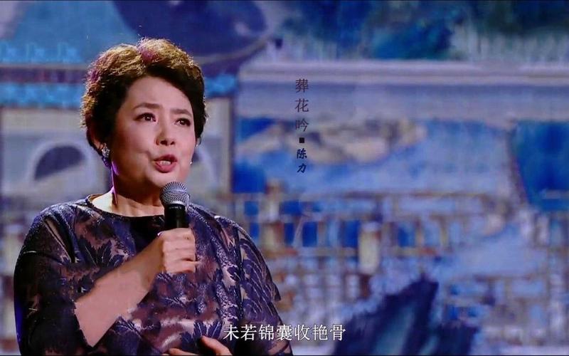 陈力演唱会视频直播