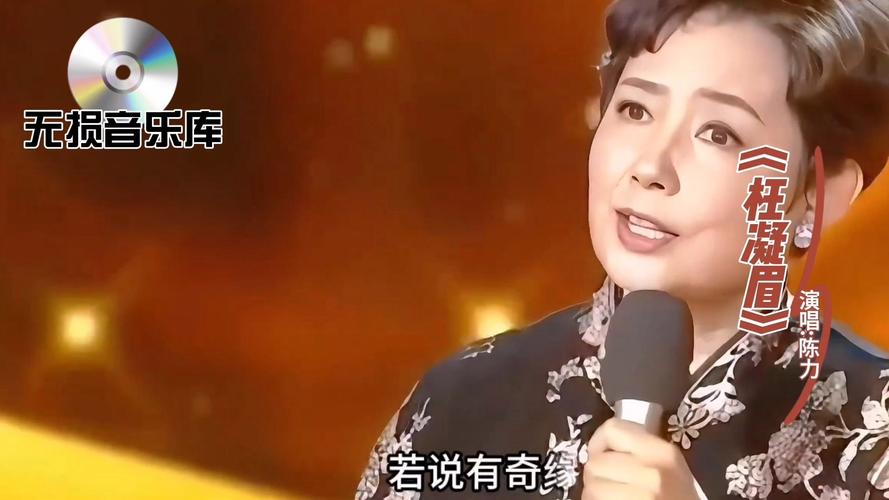 陈力演唱会视频直播