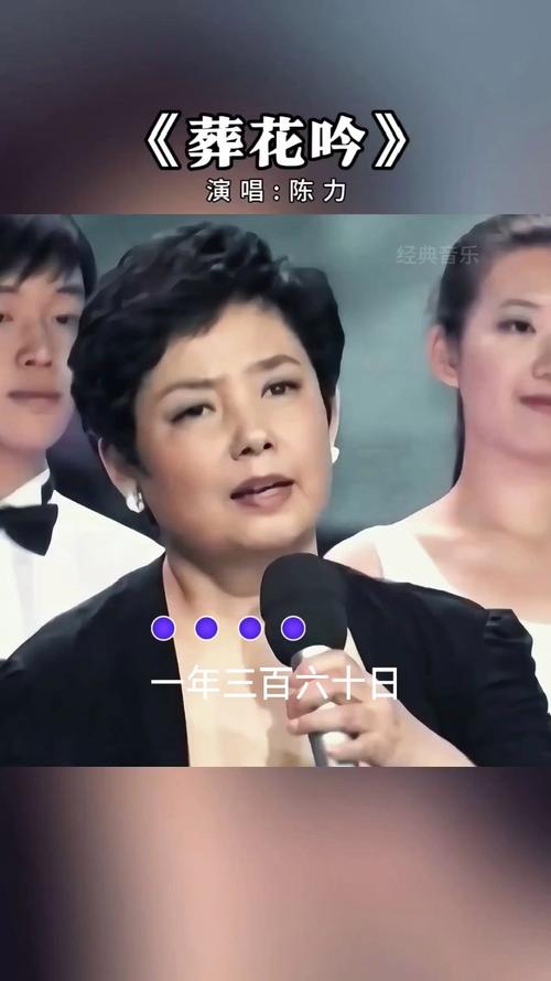 陈力演唱会视频直播