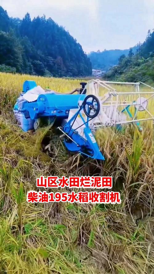手扶收割机视频直播