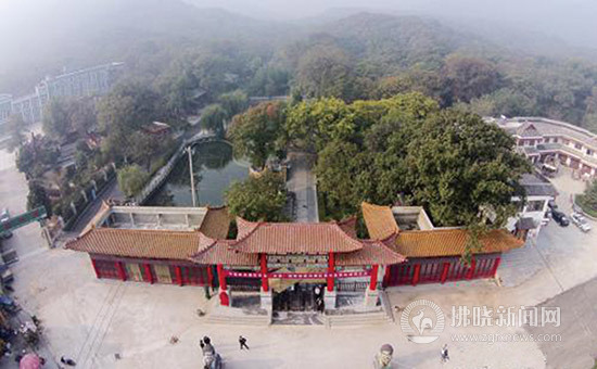 萧县电视台在线直播