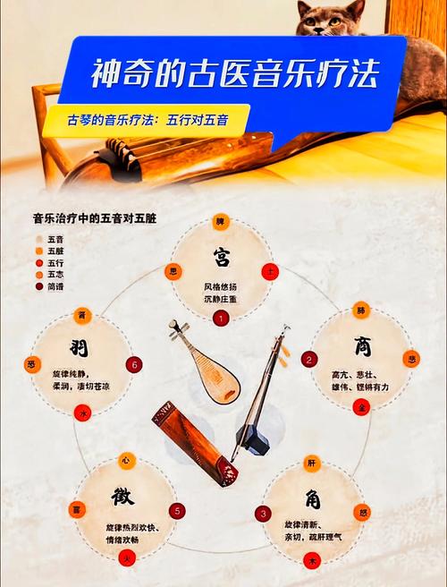 抖音里养生迪的音乐