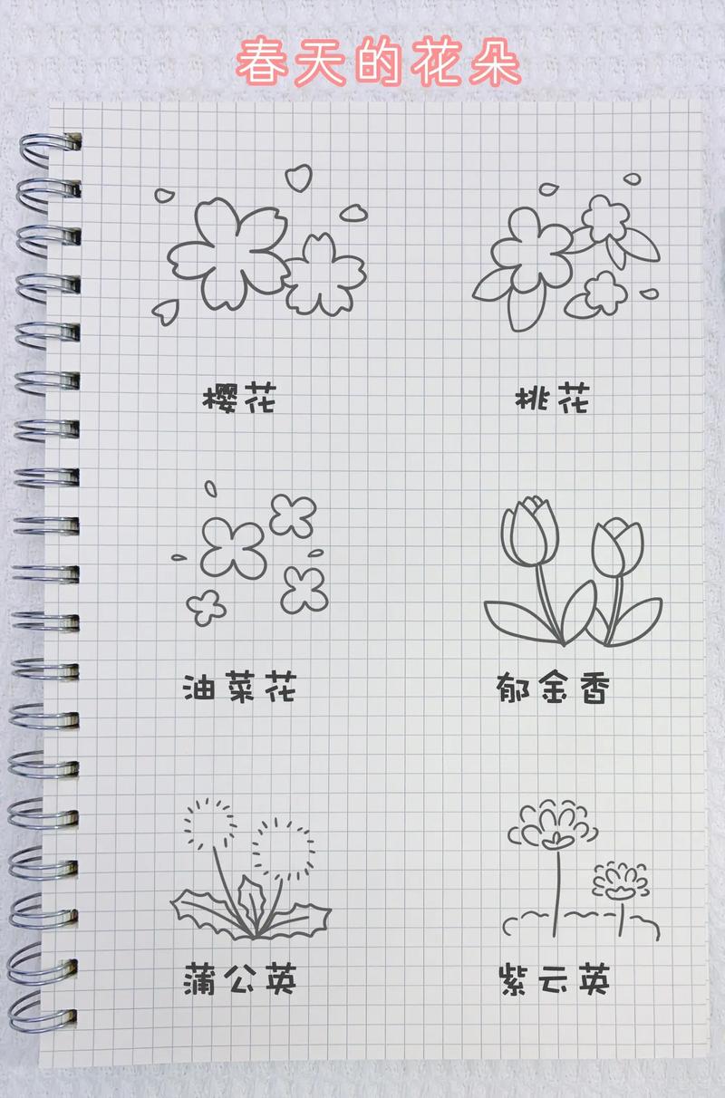 抖音手账简笔画花卉