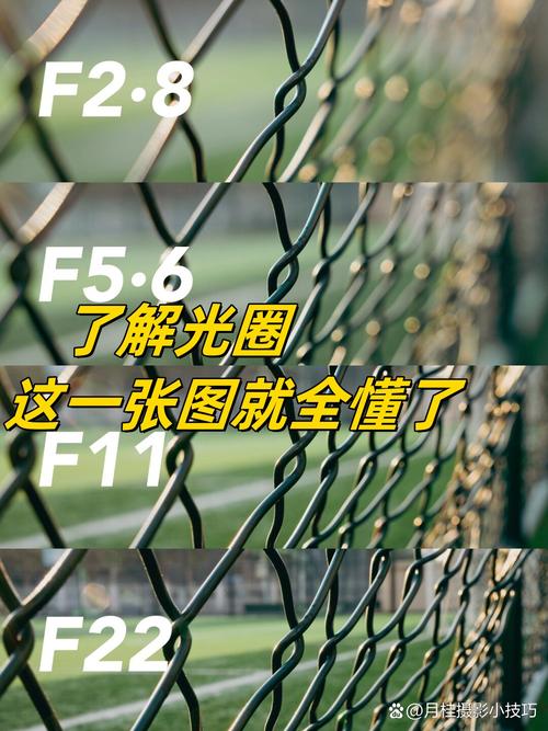 抖音里的光圈是什么