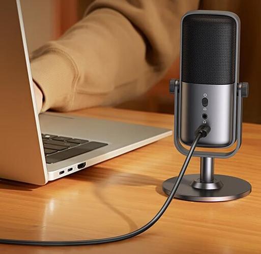 录快手买什么话筒好