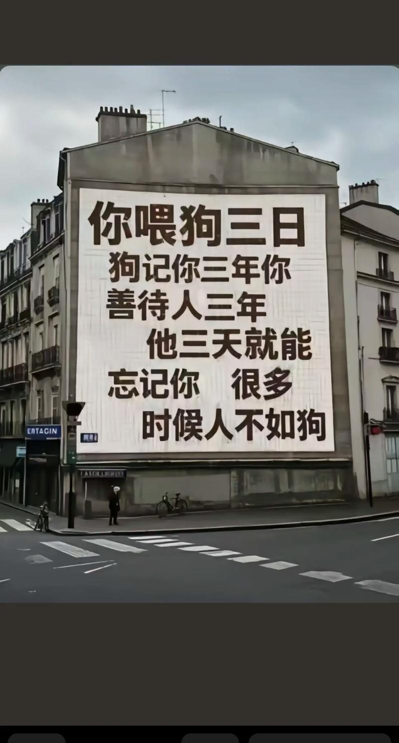 快手黑喂狗背景音乐