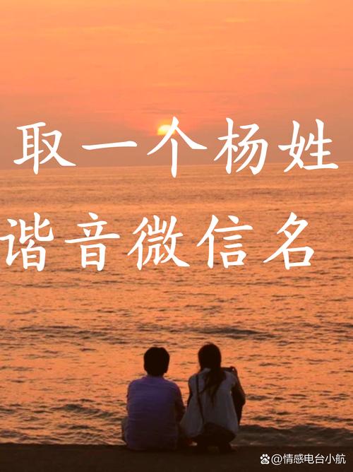 快手网名带自己杨字