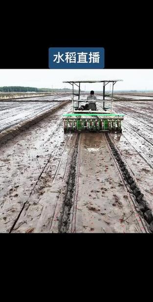 人力水稻直播机视频