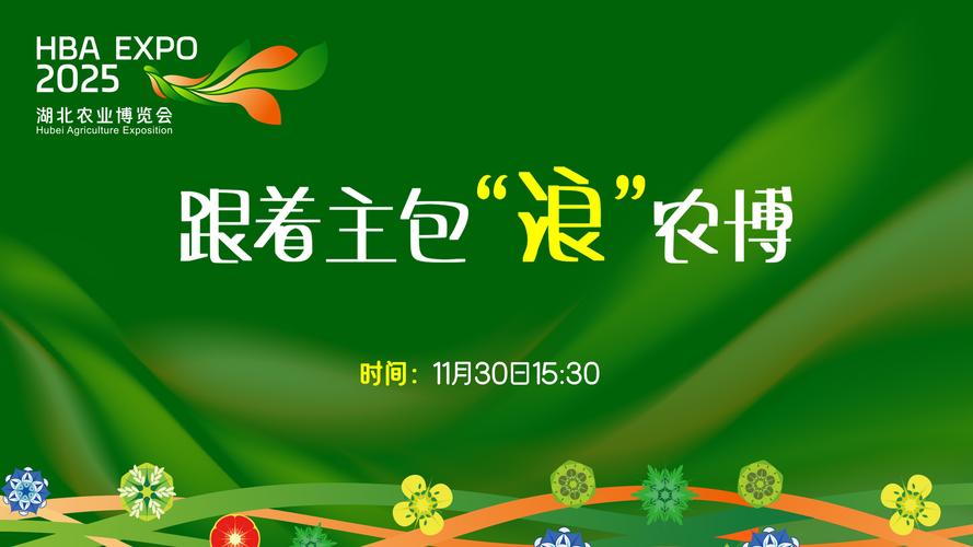 襄阳帮女郎直播回放