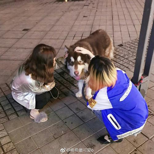 金海的快手号是什么