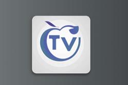 小鹰直播tv版下载