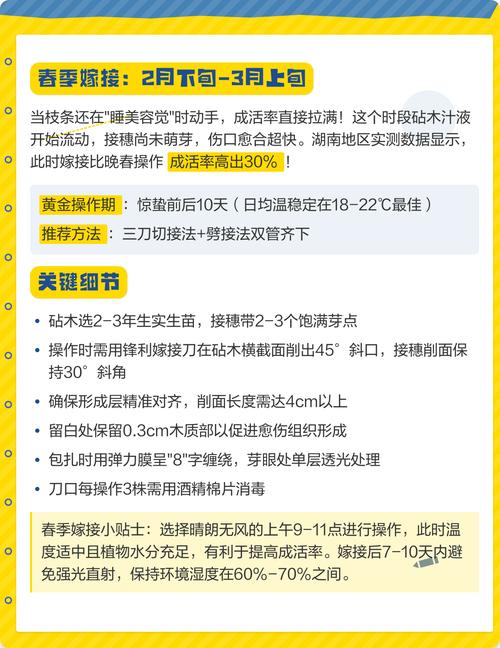 紫薇花嫁接方法直播