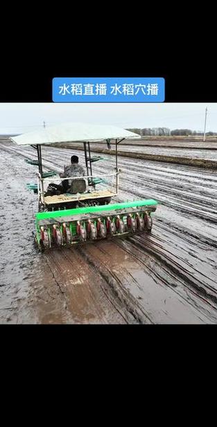 水稻旱直播机械视频