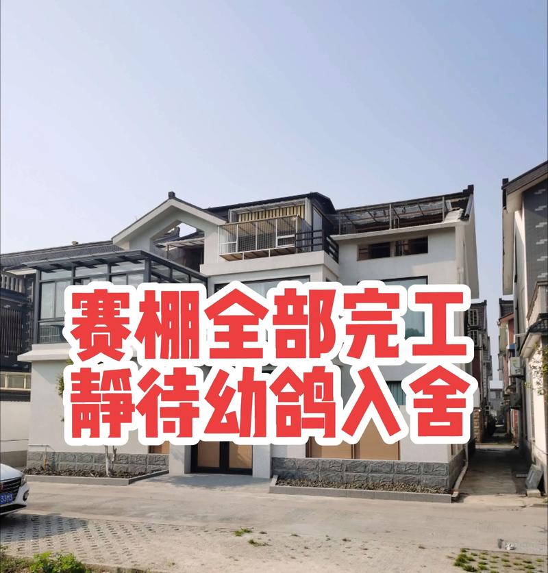 永宁信鸽协会直播网