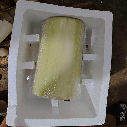 拉丝牌表演视频直播