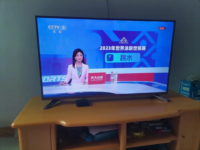 whtv5在线直播