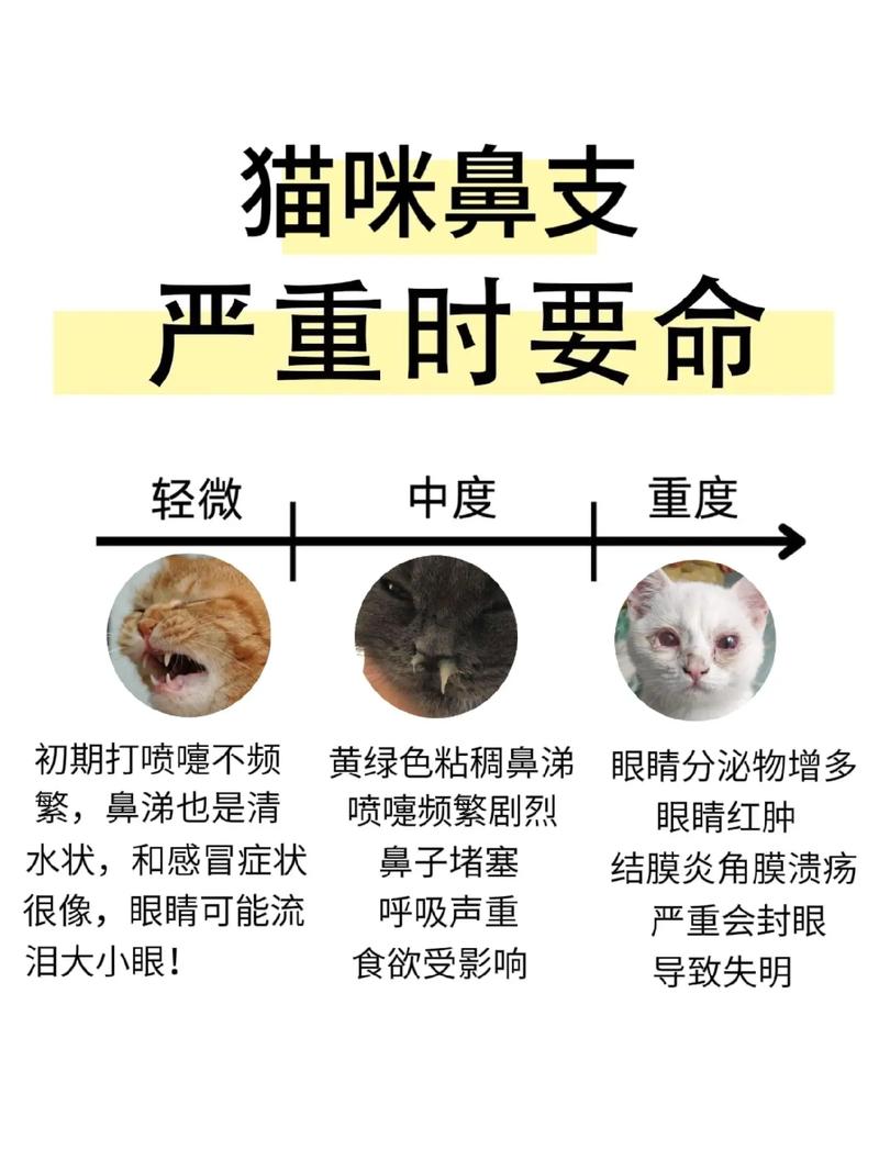 快手里猫鼻子怎样弄