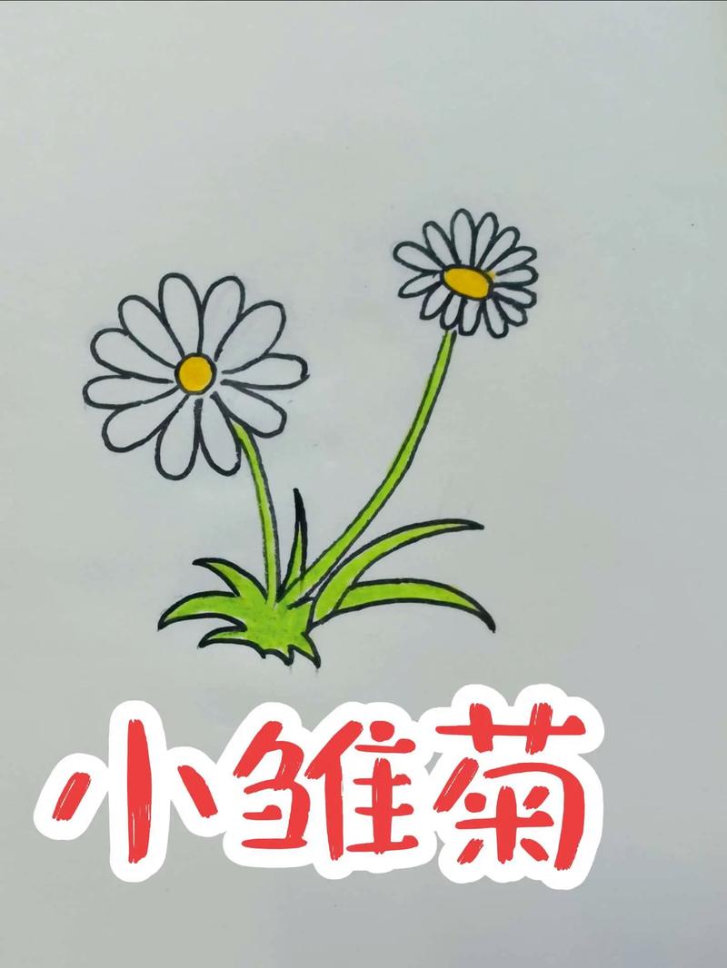 抖音如何画小雏菊花
