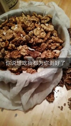 快手乞丐睡啦小不点