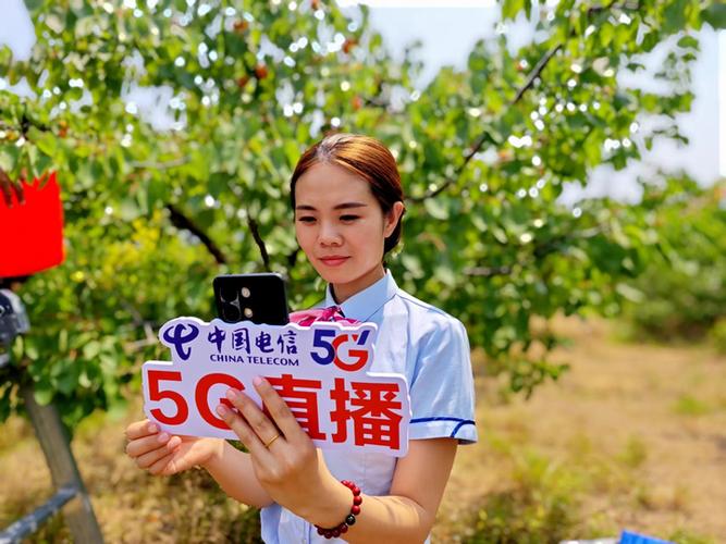 保定电视台三套直播