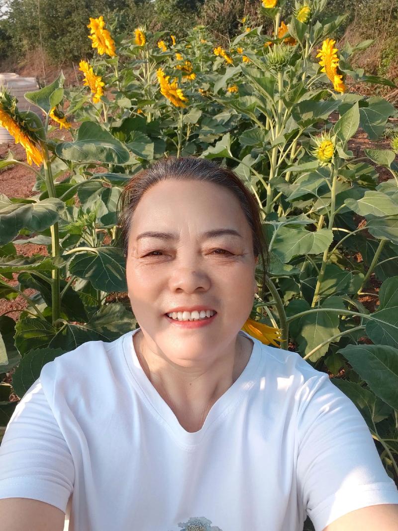 抖音妖娆向日葵视频