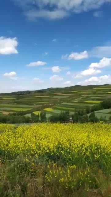 快手大美老家在哪里