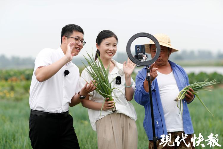 农安电视台在线直播