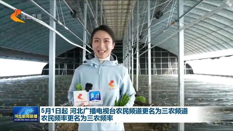 农安电视台在线直播