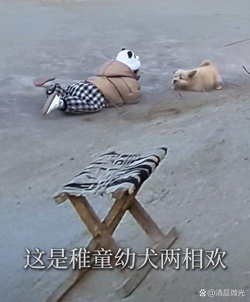 斗鱼直播造娃娃事件