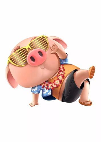 快手周周猪蹄的头像